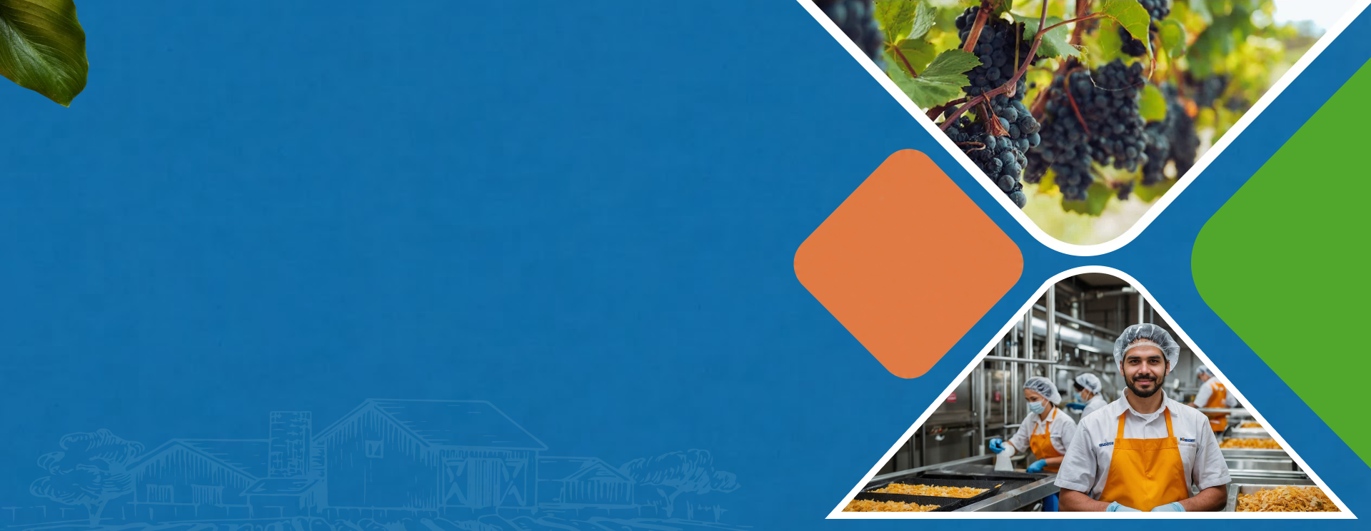 Everest Pulses sourcing and processing